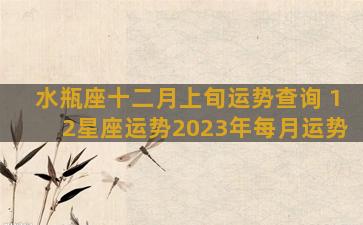 水瓶座十二月上旬运势查询 12星座运势2023年每月运势